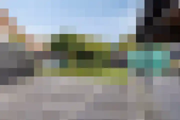 Spuislop 6 Brouwershaven thumbnail 44