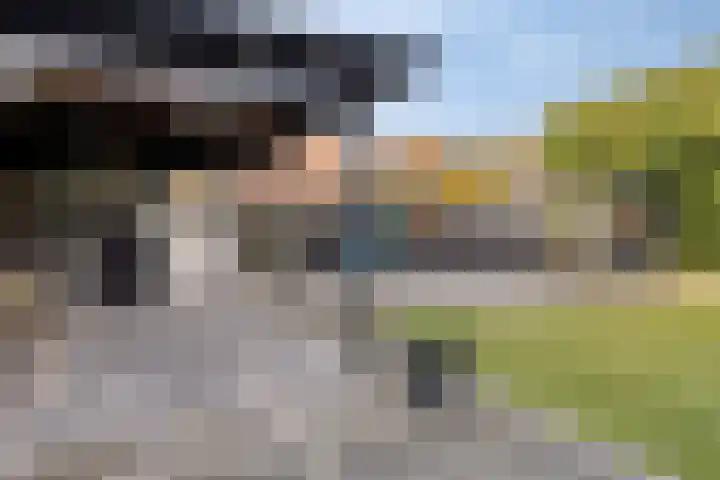 Spuislop 6 Brouwershaven thumbnail 45