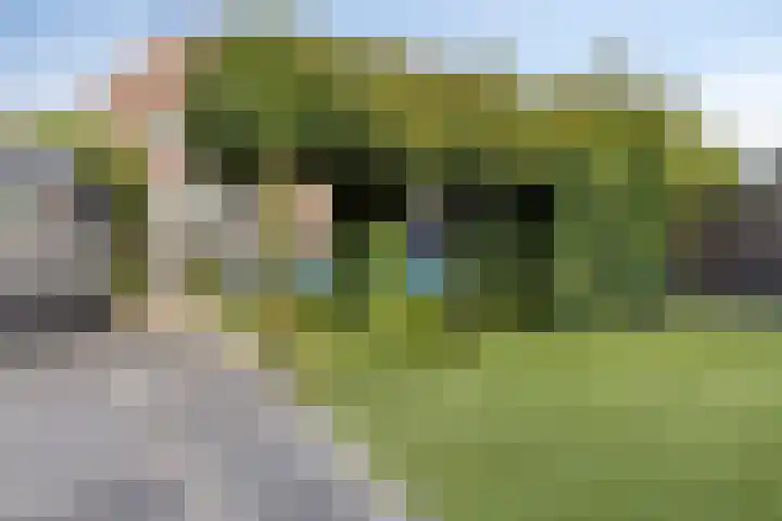 Spuislop 6 Brouwershaven thumbnail 46