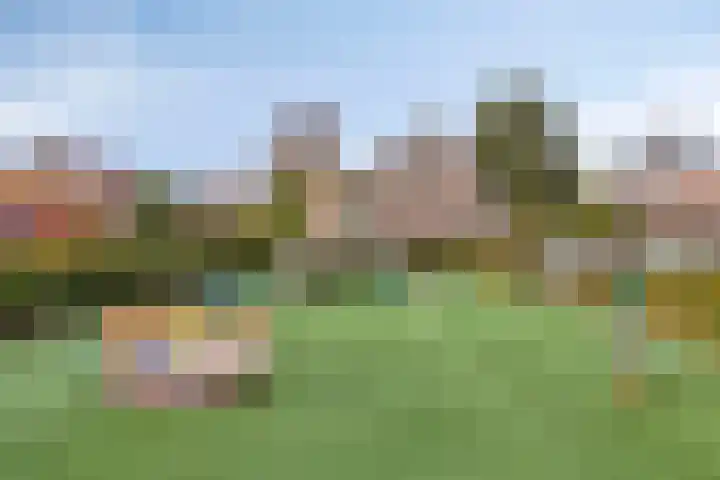 Spuislop 6 Brouwershaven thumbnail 49