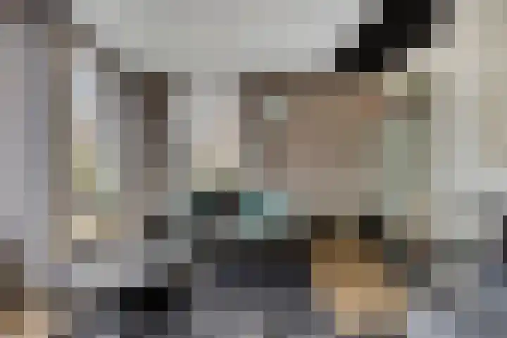 Spuislop 6 Brouwershaven thumbnail 5