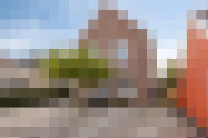 Spuislop 6 Brouwershaven thumbnail 51