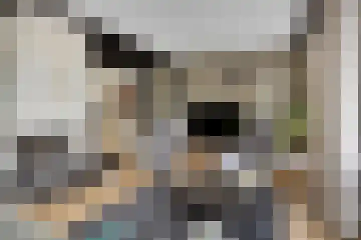 Spuislop 6 Brouwershaven thumbnail 7