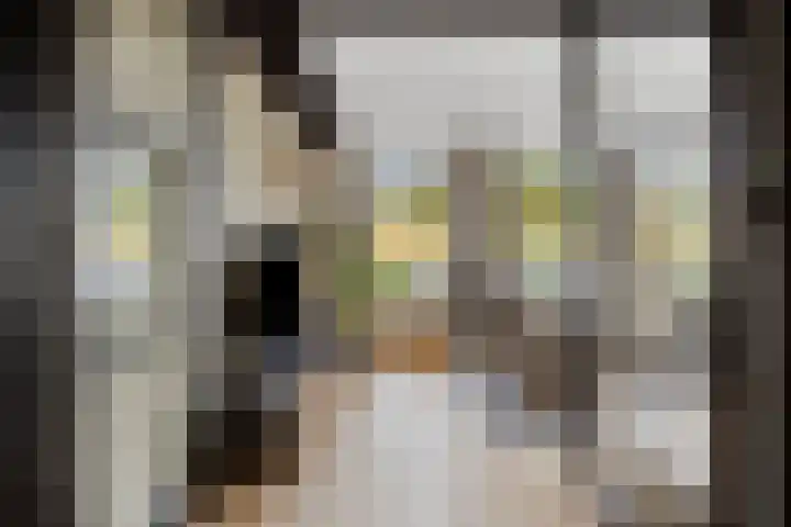 Spuislop 6 Brouwershaven thumbnail 8