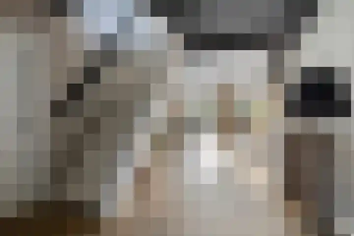 Spuislop 6 Brouwershaven thumbnail 9