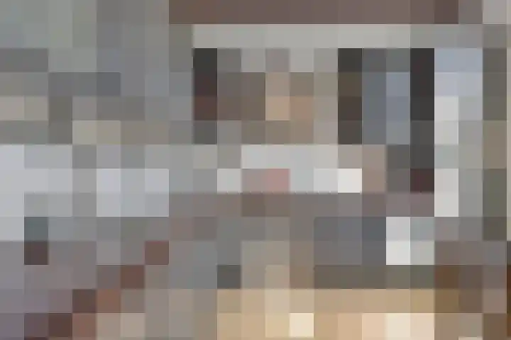 Spuislop 7 Brouwershaven thumbnail 16