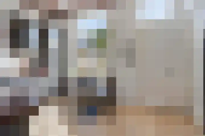Spuislop 7 Brouwershaven thumbnail 17