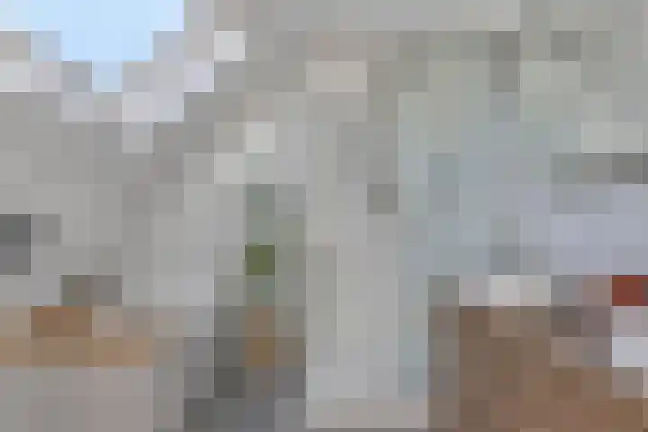 Spuislop 7 Brouwershaven thumbnail 29