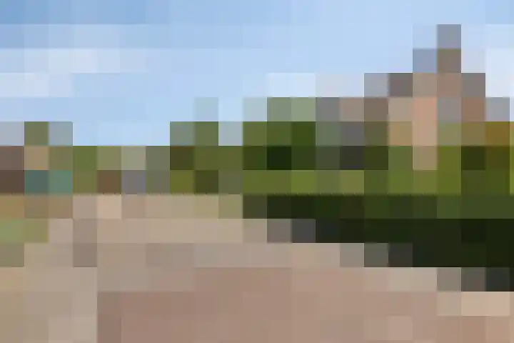 Spuislop 7 Brouwershaven thumbnail 35