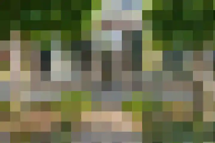 Spuislop 7 Brouwershaven thumbnail 36