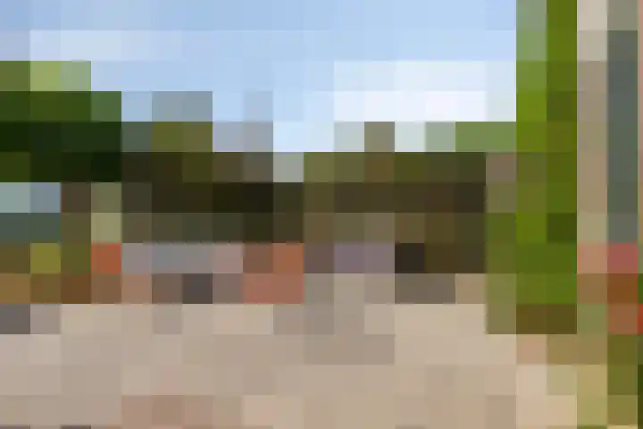 Spuislop 7 Brouwershaven thumbnail 38
