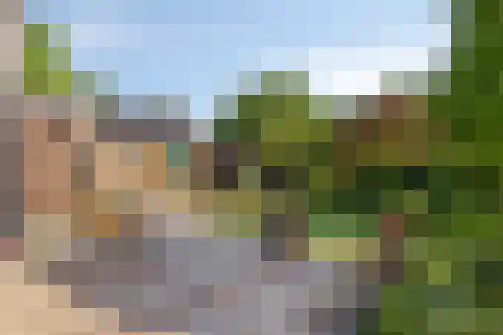 Spuislop 7 Brouwershaven thumbnail 40