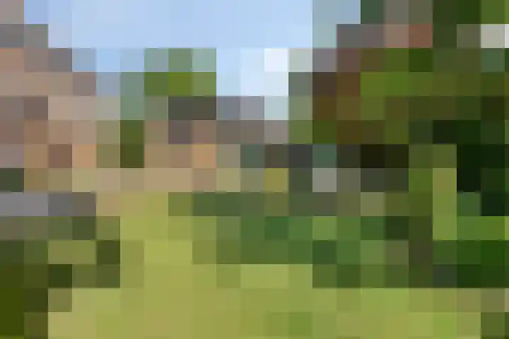 Spuislop 7 Brouwershaven thumbnail 41