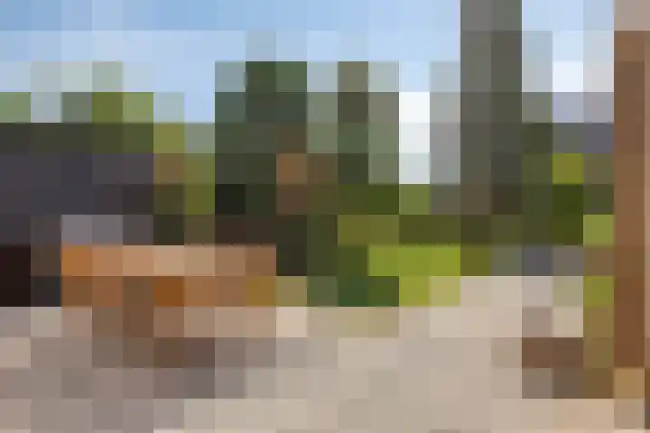 Spuislop 7 Brouwershaven thumbnail 42