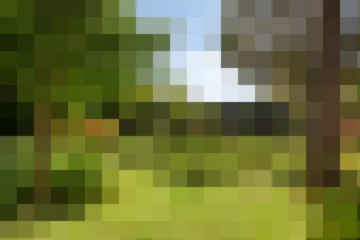 Spuislop 7 Brouwershaven thumbnail 43