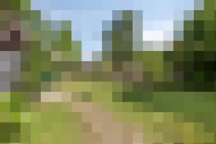 Spuislop 7 Brouwershaven thumbnail 44