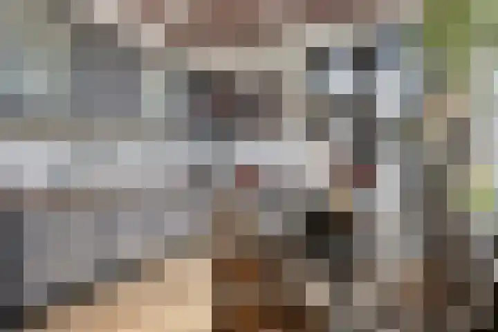 Spuislop 7 Brouwershaven thumbnail 5