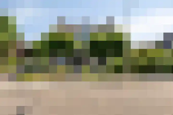 Spuislop 7 Brouwershaven thumbnail 6