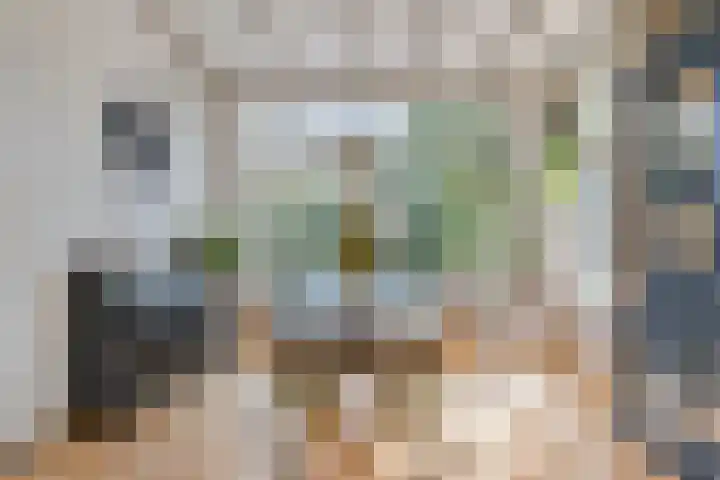 Spuislop 7 Brouwershaven thumbnail 7