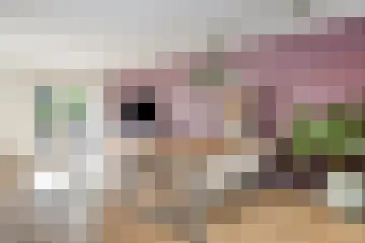 Spuisluis 12 Alphen aan den Rijn thumbnail 11
