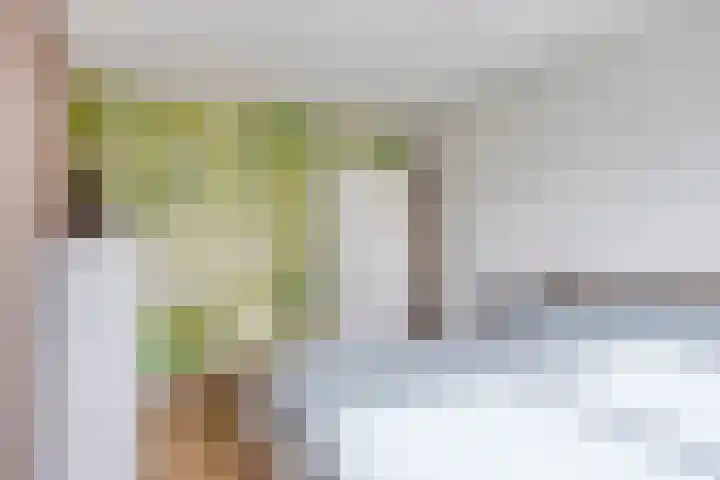 Spuisluis 12 Alphen aan den Rijn thumbnail 18