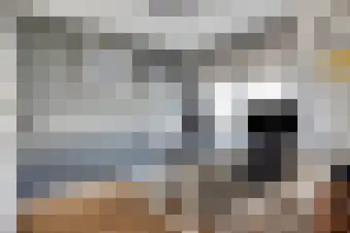 Spuisluis 12 Alphen aan den Rijn thumbnail 19