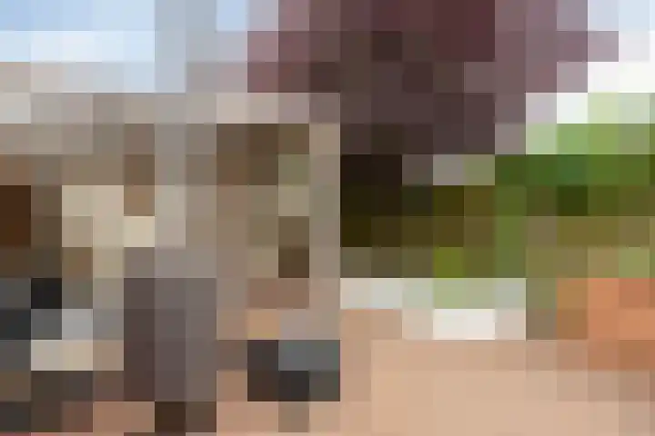 Spuisluis 12 Alphen aan den Rijn thumbnail 28