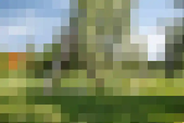 Spuisluis 12 Alphen aan den Rijn thumbnail 37