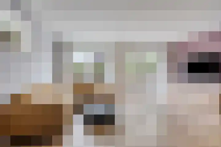 Spuisluis 12 Alphen aan den Rijn thumbnail 8