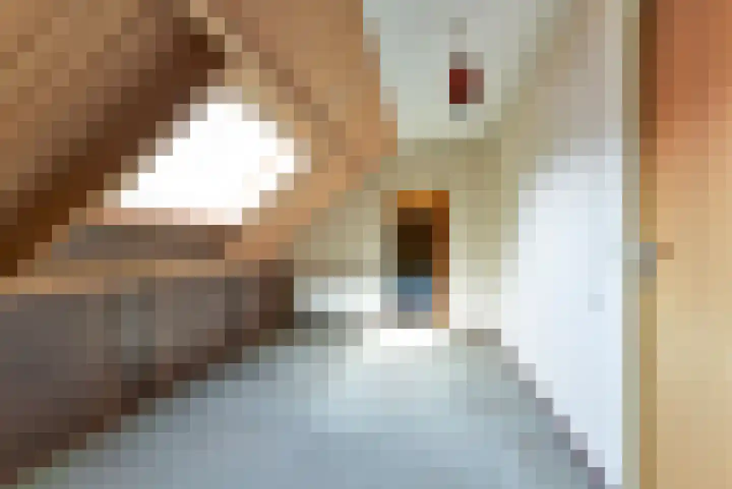 Spuisluis 14 Nieuwegein thumbnail 25