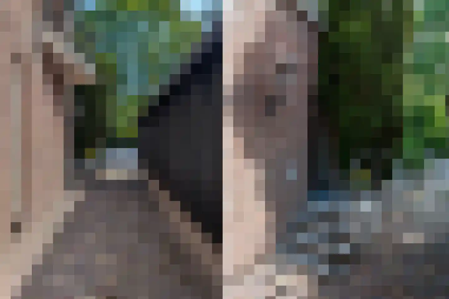 Spuisluis 14 Nieuwegein thumbnail 7
