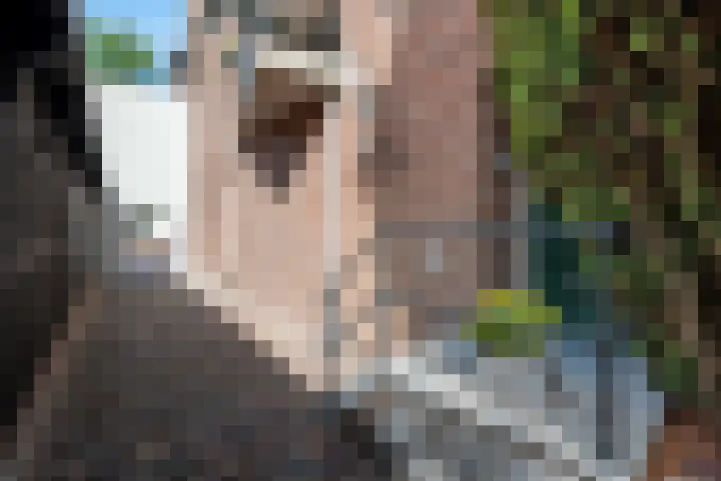Spuisluis 14 Nieuwegein thumbnail 8