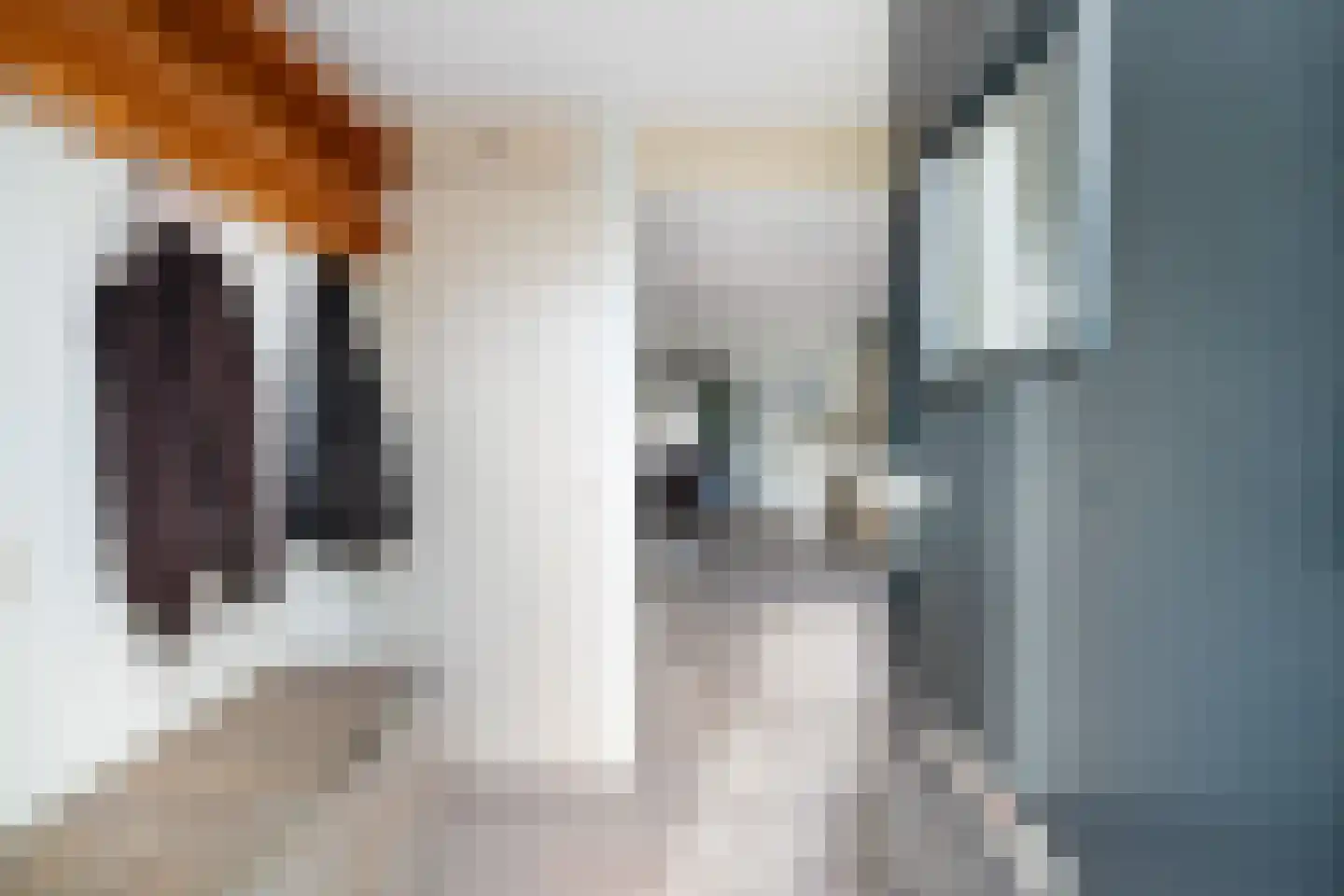 Spuisluis 27 Alphen aan den Rijn thumbnail 11