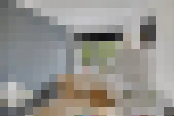 Spuisluis 49 Alphen aan den Rijn thumbnail 15