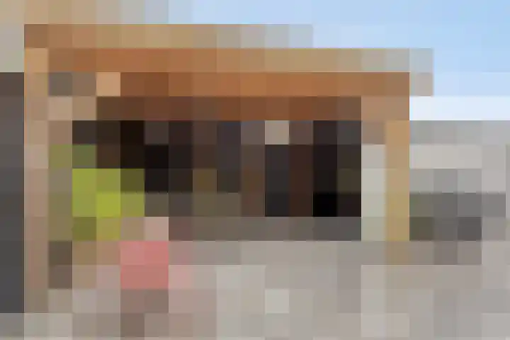 Spuisluis 49 Alphen aan den Rijn thumbnail 29