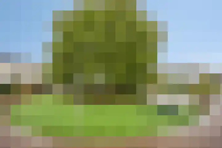 Spuisluis 49 Alphen aan den Rijn thumbnail 35