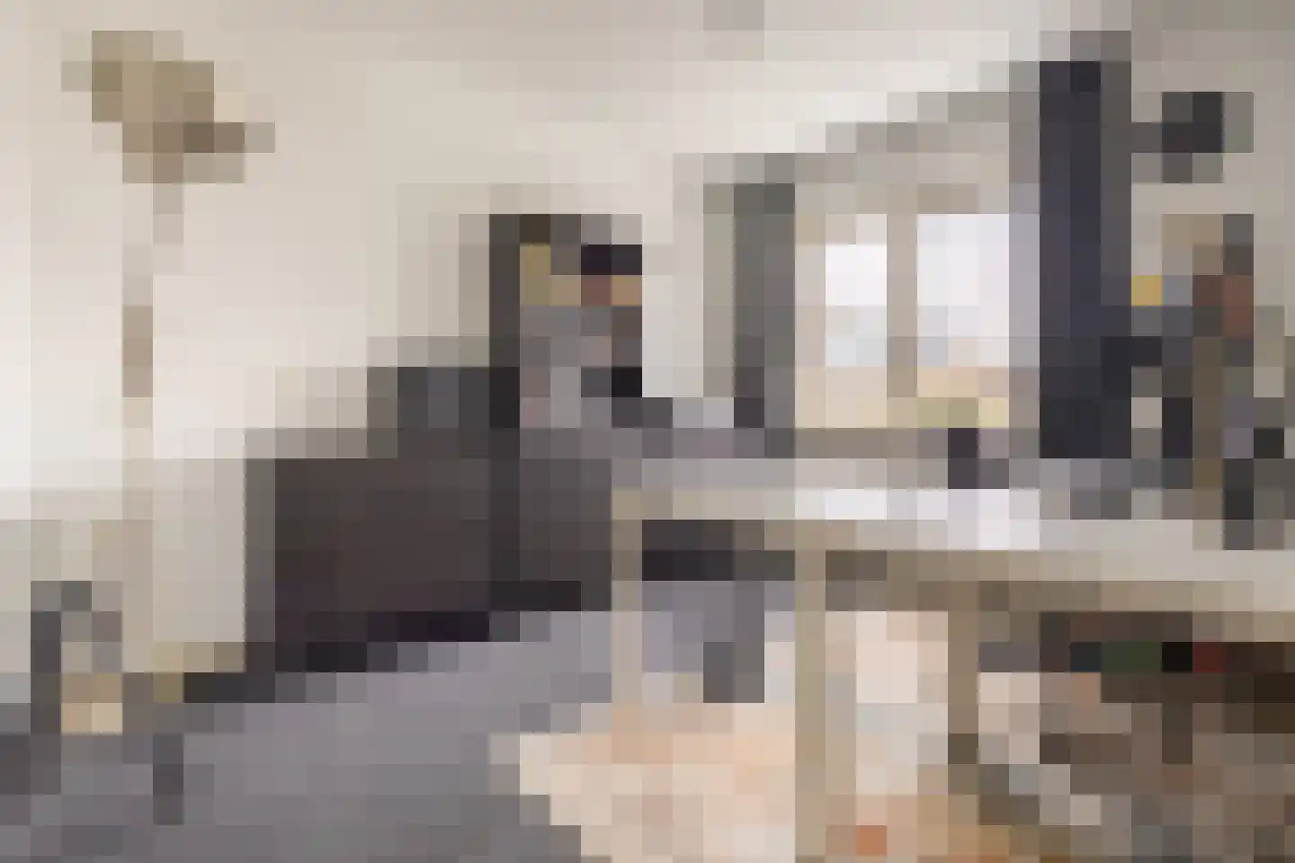 Spuisluis 99 Alphen aan den Rijn thumbnail 14