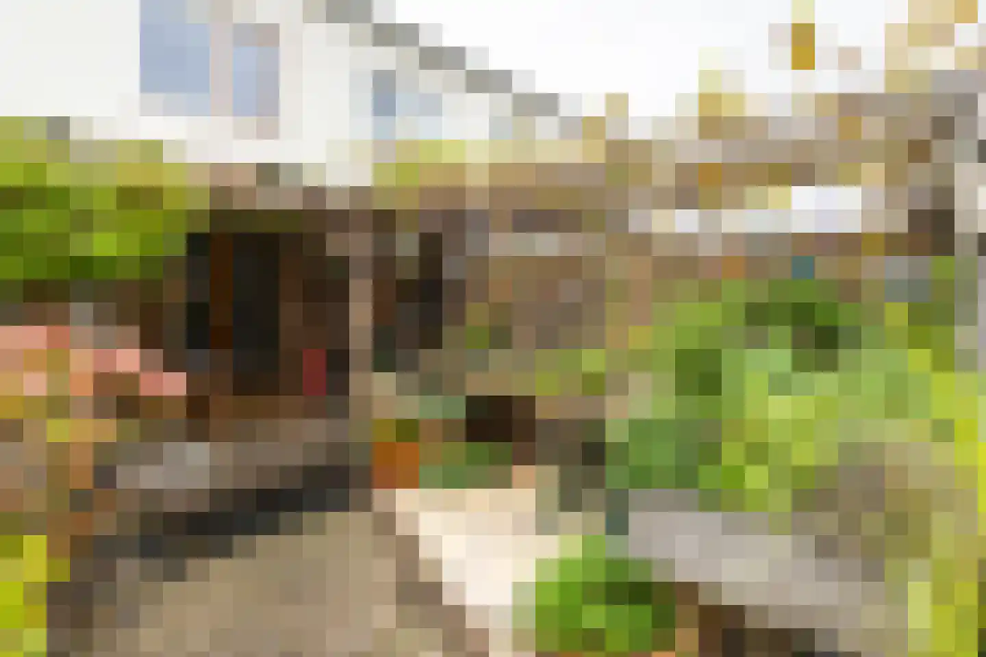 Spuisluis 99 Alphen aan den Rijn thumbnail 24