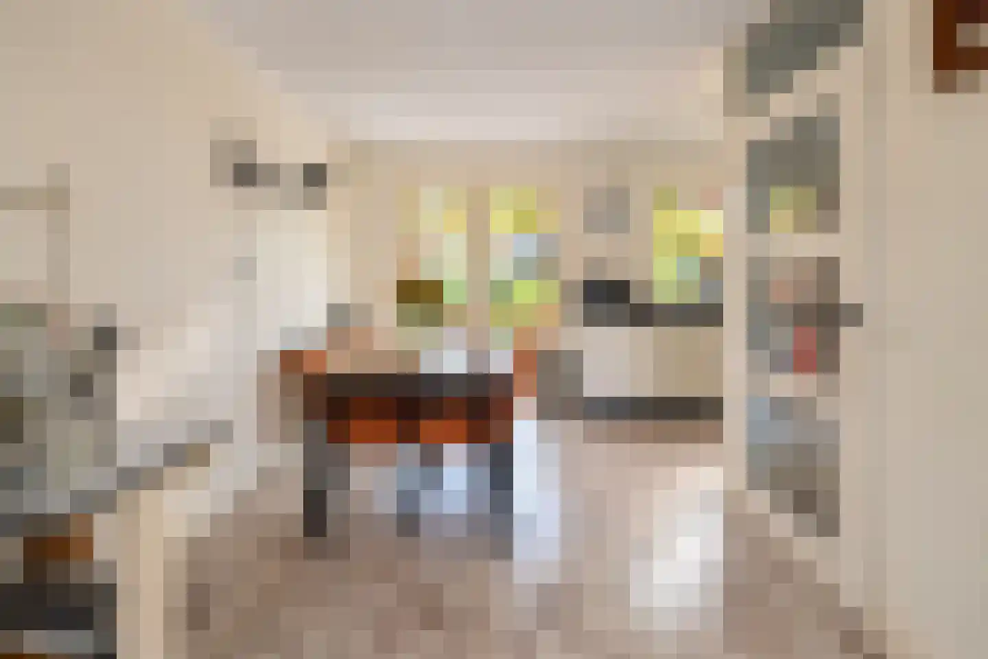 Spuisluis 99 Alphen aan den Rijn thumbnail 6