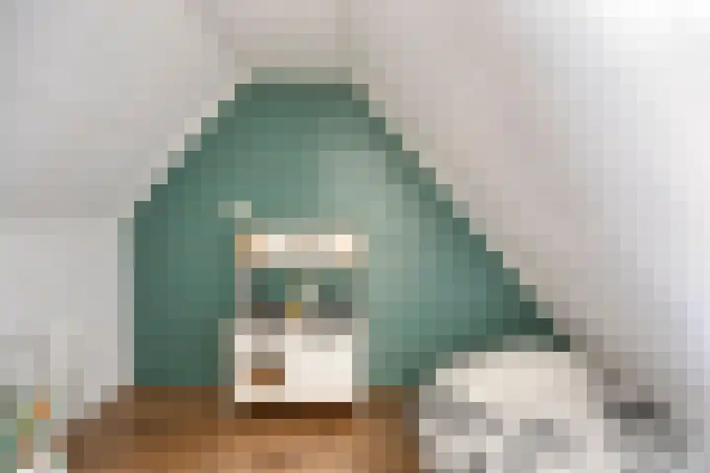 Spuistraat 10 Kampen thumbnail 30