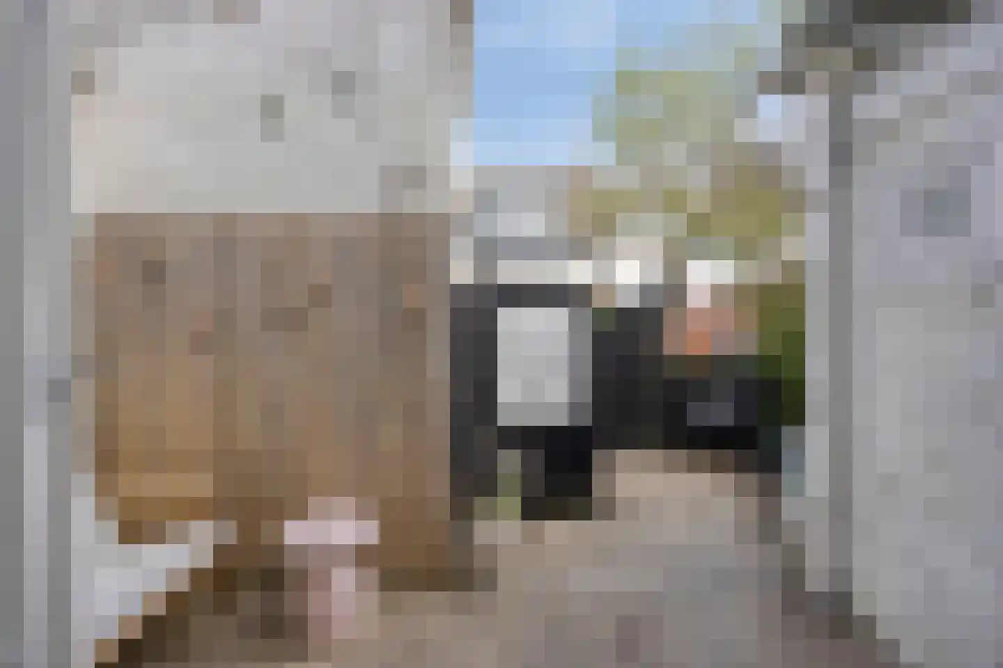 Spuistraat 10 Kampen thumbnail 32