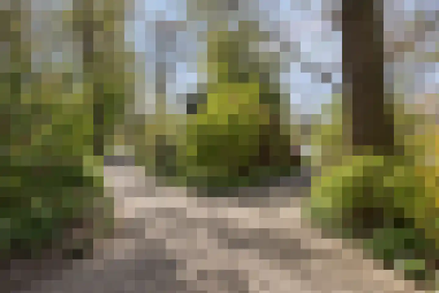 Spuistraat 10 Kampen thumbnail 34