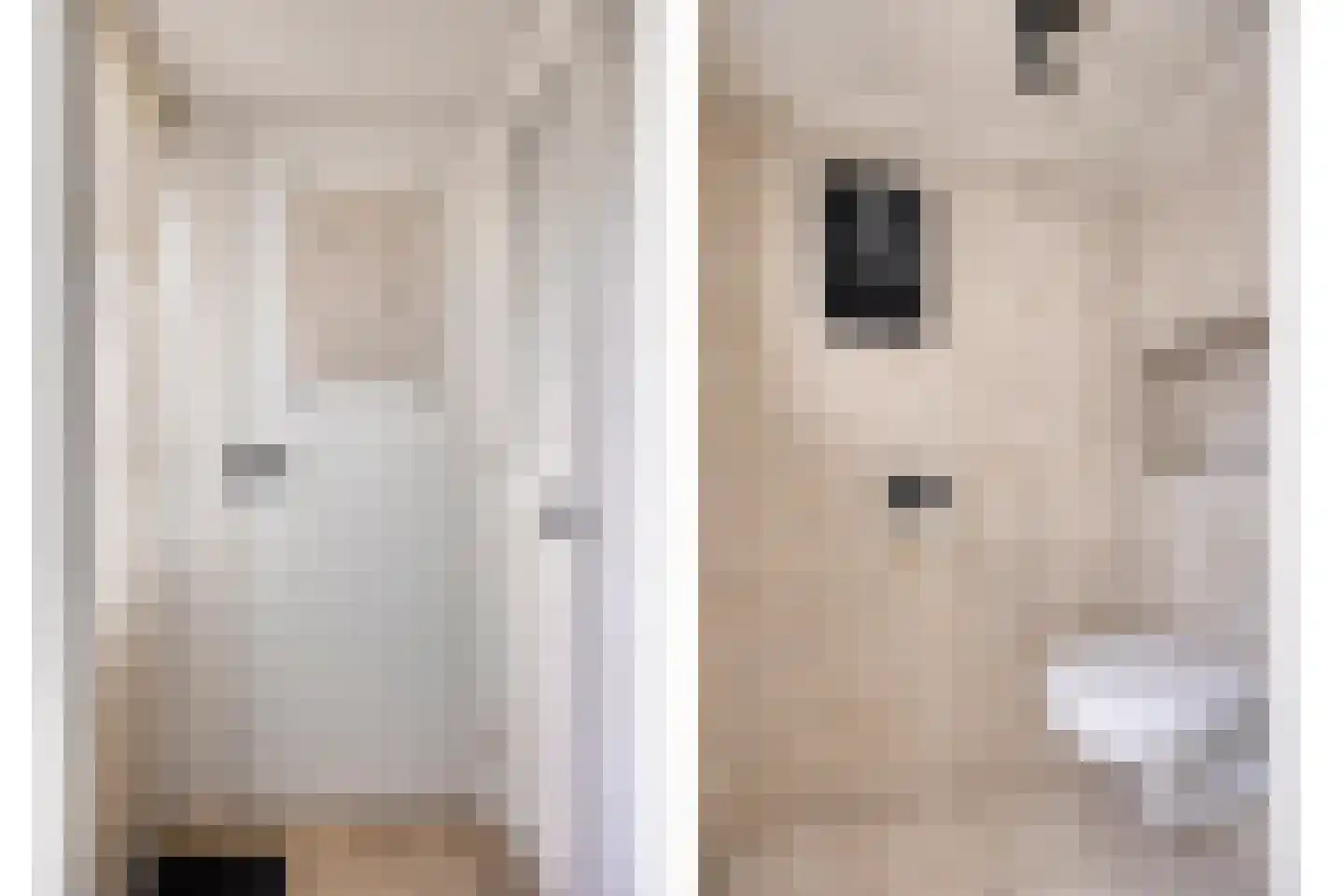 Spuistraat 10 Kampen thumbnail 8