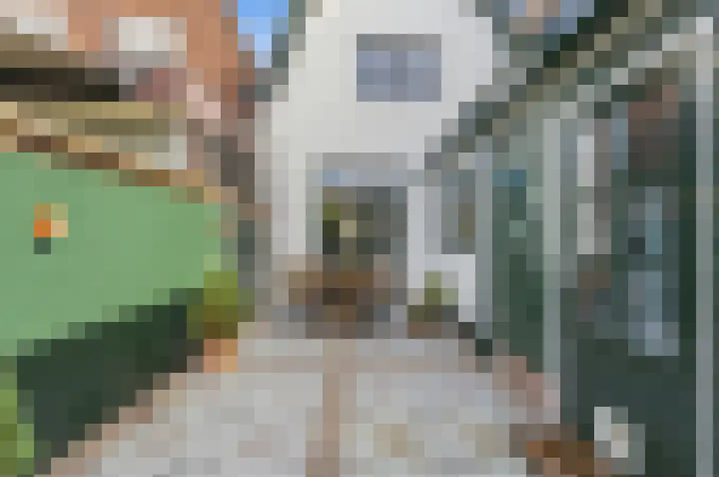 Spuistraat 11 Middelburg thumbnail 29