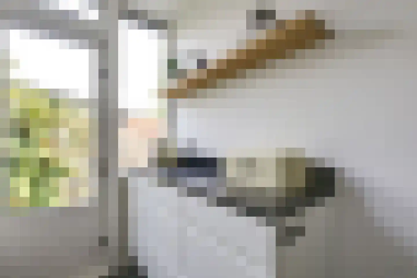 Spuistraat 17 Utrecht thumbnail 13