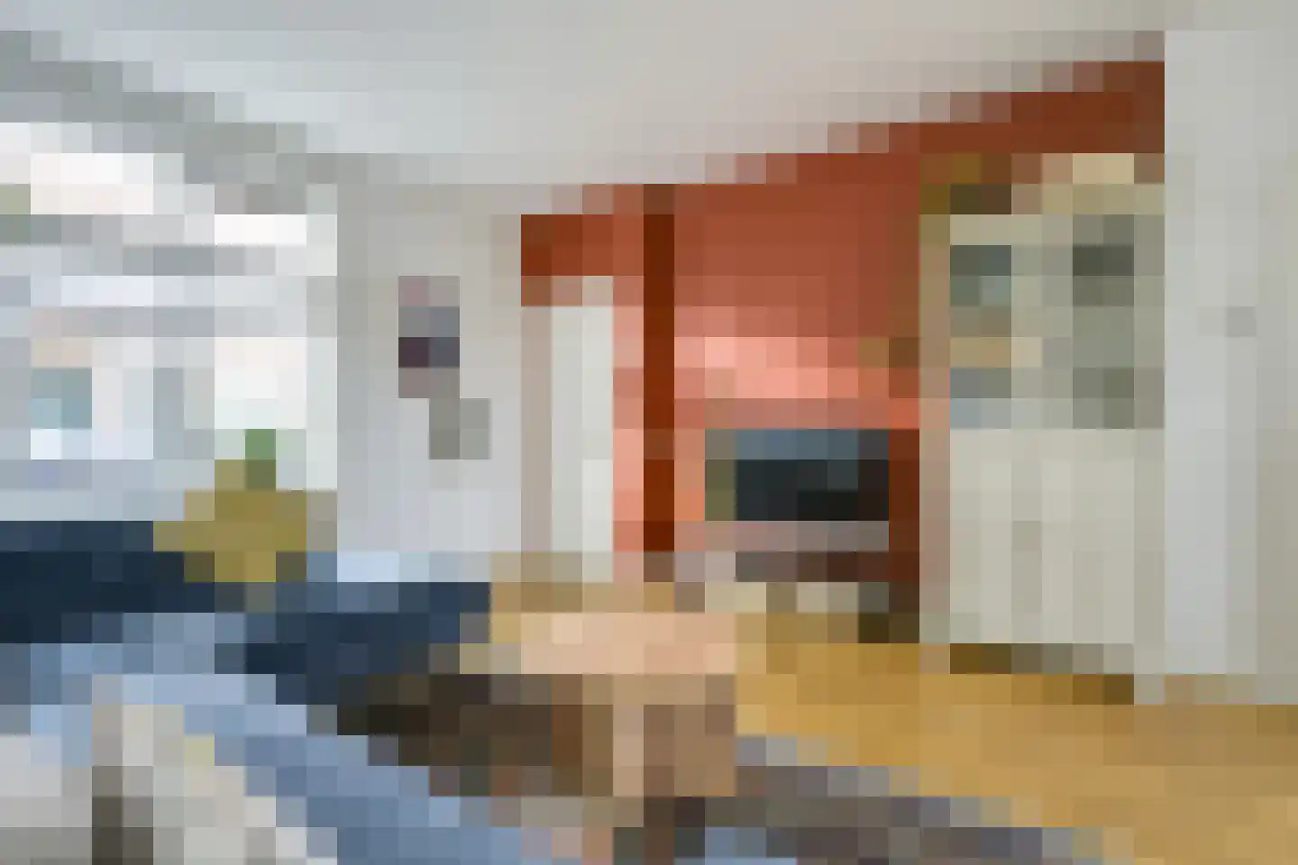 Spuistraat 17 Utrecht thumbnail 8