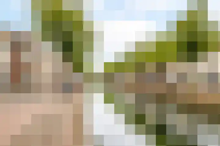 Spuistraat 2 Kampen thumbnail 41