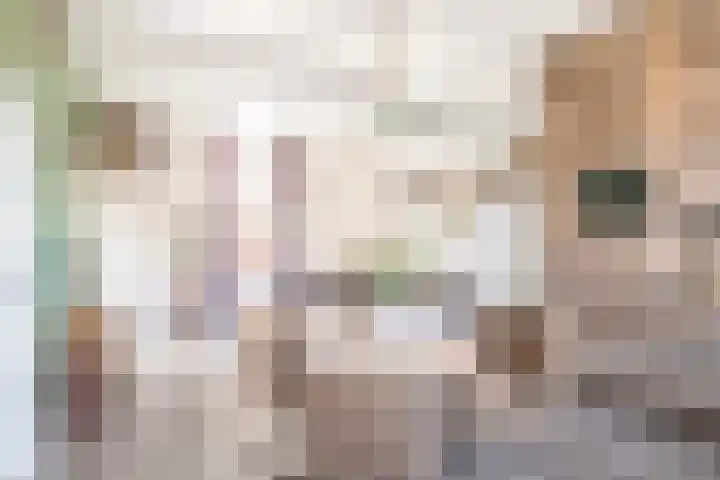 Spuistraat 2 Kampen thumbnail 8