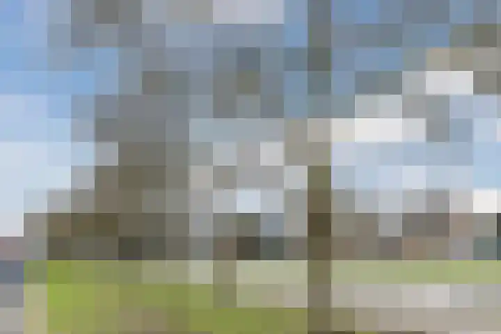 Spuistraat 20 Dongen thumbnail 38
