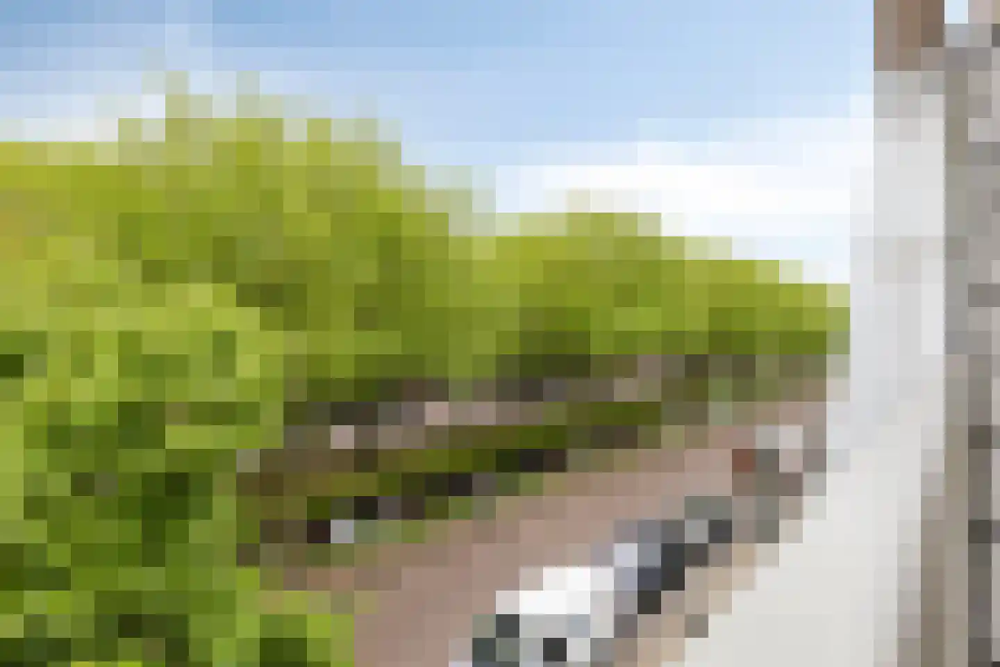 Spuistraat 24 Bunschoten-Spakenburg thumbnail 17